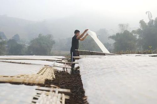 Miến dong, mật ong rừng Ba Vì và hành trình xây dựng chuỗi giá trị sản phẩm OCOP vùng cao Hà Nội