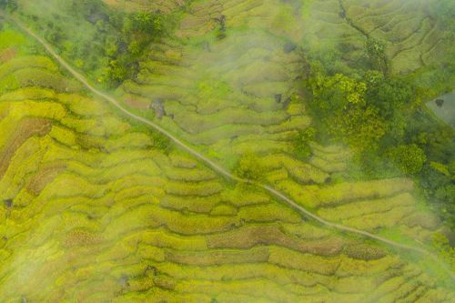 Pù Luông trong sương: 'Sa Pa xứ Thanh' mê hoặc lòng người