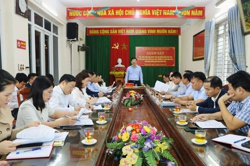 Đoàn giám sát của Thường trực HĐND tỉnh giám sát thực hiện Nghị quyết về nội dung chất vấn của HĐND tỉnh tại xã Hoằng Tiến