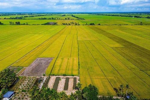 Vĩnh Hòa, hành trình mới của một xã anh hùng