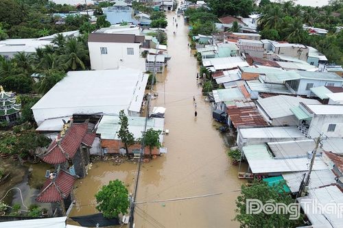 Đồng Tháp: Cảnh báo triều cường đầu tháng 10 âm lịch gây ngập lụt diện rộng