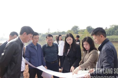 Kiểm tra dự án kè chống sạt lở bờ sông trên địa bàn tỉnh