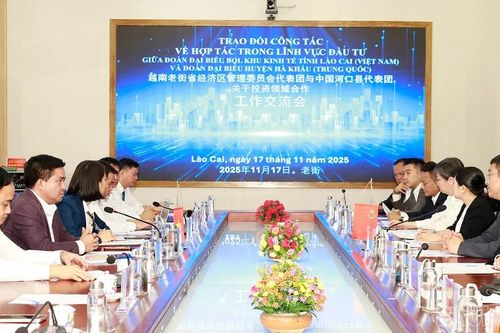 Đoàn đại biểu huyện Hà Khẩu, tỉnh Vân Nam (Trung Quốc) khảo sát và làm việc tại tỉnh Lào Cai