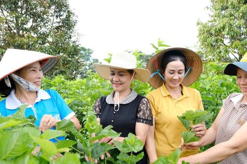 Khấm khá từ cây dâu, con tằm