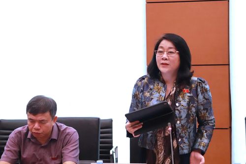 Đại biểu Quốc hội tỉnh Quảng Trị góp ý các dự án luật