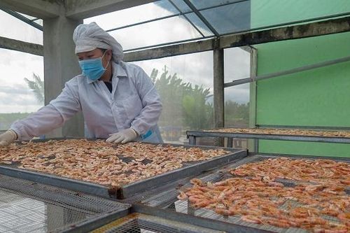 Phát triển tôm cua sinh thái nhờ chu trình khép kín bằng công nghệ