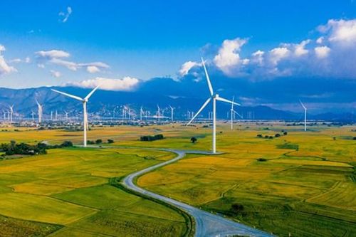 Dẫn đầu điện gió Đông Nam Á, Việt Nam chiếm 73% công suất điện gió
