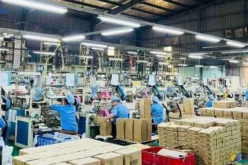Nhựa sinh thái Việt Nam (ECO) chào bán 10 triệu cổ phiếu giá 10.000 đồng, lãi 9 tháng lập kỷ lục, xin ý kiến chuyển sàn HOSE
