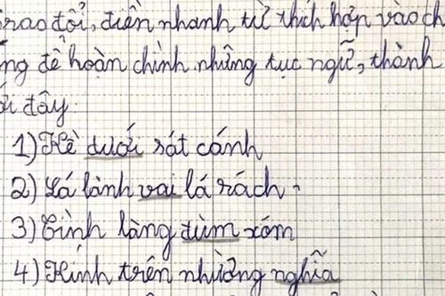 Cô giáo yêu cầu điền thành ngữ 'lá lành..., tình làng...', loạt đáp án học sinh đưa ra khiến phụ huynh đỏ mặt