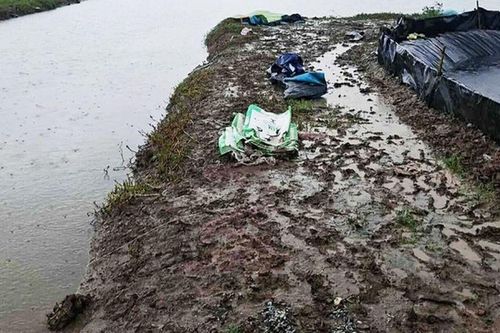 Hai người đàn ông bị sét đánh tử vong thương tâm tại đầm tôm ở Cà Mau