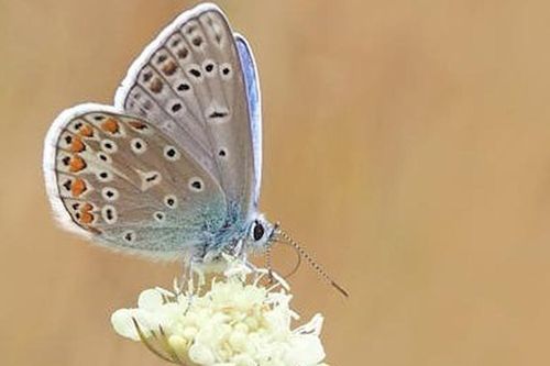 Những số cuối ngày sinh Âm lịch hé lộ bí mật về sự giàu có