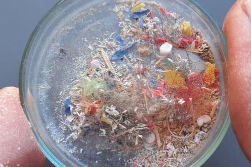 1 loại đồ uống chứa nhiều hạt vi nhựa gấp nhiều lần, nhưng giới trẻ Việt lại thích mê