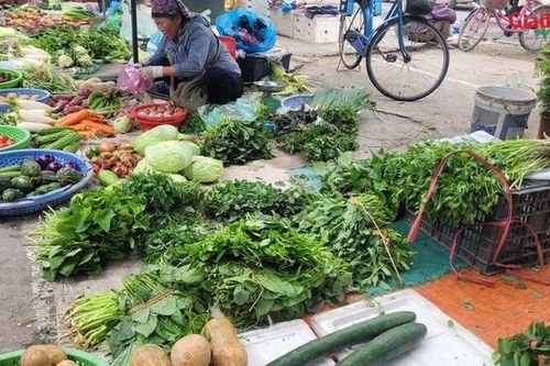 Gia đình thu nhập thấp xoay xở thế nào khi rau xanh là mặt hàng rẻ nhất cũng trở thành xa xỉ sau bão?