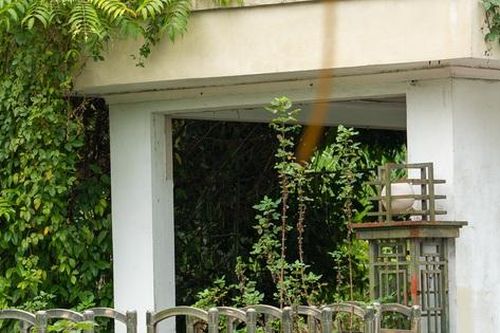 Hà Nội: Cận cảnh khu nhà tái định cư hoang tàn sau hơn 10 năm hoàn thành