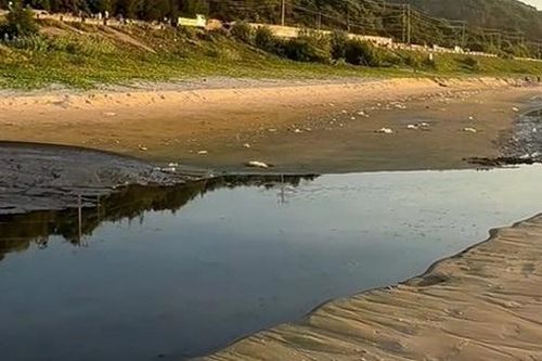 Xả nước đen bốc mùi ra biển Mũi Né, Khu du lịch Asteria bị phạt 50 triệu đồng