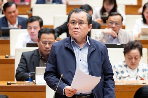 Đại biểu Quốc hội hiến kế ngăn chặn tình trạng lách luật để 'né kê khai tài sản'