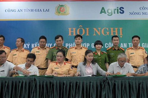 Gia Lai: Doanh nghiệp vận tải ký kết không chở mía quá khổ, quá tải