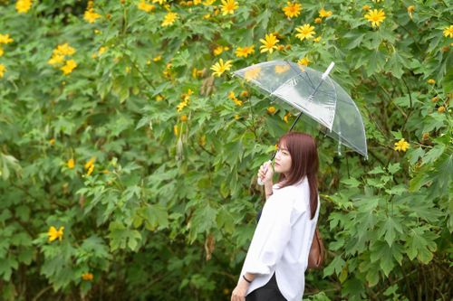 Ba Vì sau ngày 'vỡ trận'