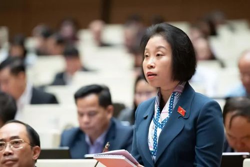Đại biểu Quốc hội Phạm Thị Thanh Mai kiến nghị điều chỉnh quy định giao chỉ tiêu vay ODA khi địa phương không bội chi