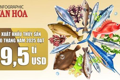 (Infographic) 10 tháng 2025, xuất khẩu thủy sản đạt 9,5 tỉ USD, tăng 16%