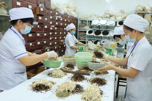 Đề xuất hướng dẫn hoạt động của y học cổ truyền trong cơ sở khám, chữa bệnh