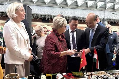 Việt Nam tham dự Hội chợ từ thiện ngoại giao tại Hungary