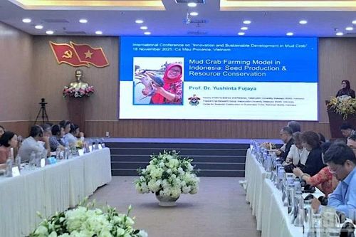 Cà Mau thúc đẩy ngành hàng cua biển vươn ra thị trường quốc tế