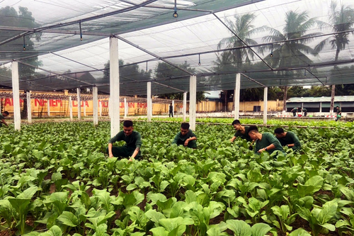 'Thực túc binh cường' ở Trung đoàn 762