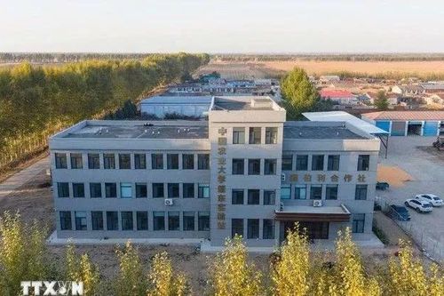 Trung Quốc điều chỉnh hàng nghìn chương trình đại học để phù hợp nhu cầu kinh tế – xã hội