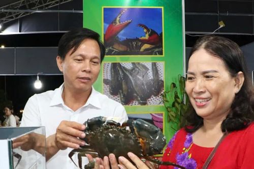 Cà Mau: Tập trung phát triển mô hình nuôi cua bền vững