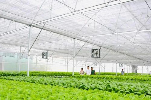 Đồng Tháp nhân rộng mô hình nông nghiệp thông minh gắn với sản phẩm chủ lực
