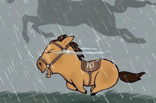 Chú ngựa Mã Tiểu Dã vừa chạy vừa khóc gây sốt mạng