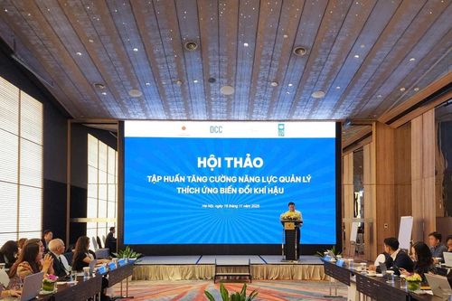 Tăng cường năng lực quản lý thích ứng biến đổi khí hậu sau sáp nhập