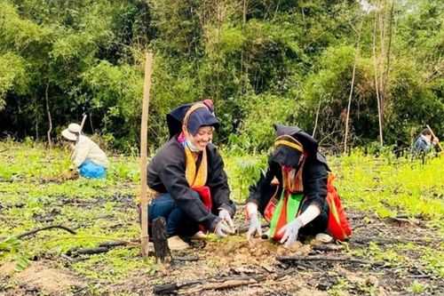 Giá trị văn hóa là nguồn lực nội sinh giúp Quảng Ninh phát triển nhanh, bền vững