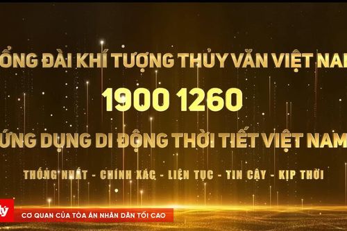 Ra mắt Tổng đài 19001260 cung cấp thông tin thiên tai