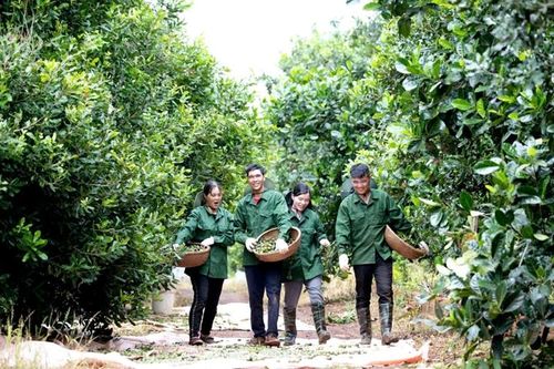 Xã Krông Năng (Đắk Lắk) kiến tạo xây dựng nông thôn mới trong thời kỳ mới