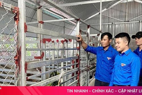 Khơi dậy tinh thần của tuổi trẻ Hà Tĩnh trong thực hiện Nghị quyết 68