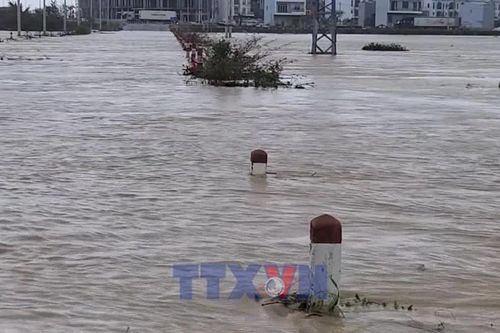 Mưa lũ gây chia cắt, cô lập hàng trăm hộ dân tại Gia Lai