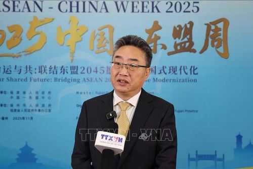 Tạo cơ sở quan trọng thúc đẩy hợp tác kinh tế ASEAN-Trung Quốc