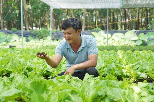 Nông nghiệp đô thị xanh từ những mô hình tái chế phụ phẩm