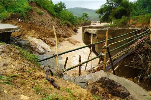 Quảng Ngãi dựng cầu tạm phá thế cô lập bởi thiên tai