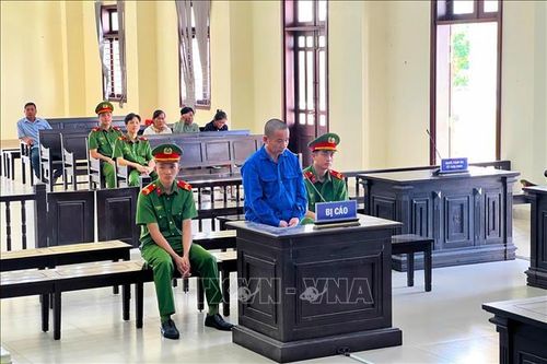'Cò lúa' nhận bản án đích đáng