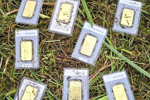 Đi cắt cỏ, nam công nhân tìm thấy 8 miếng vàng trị giá 920 triệu đồng