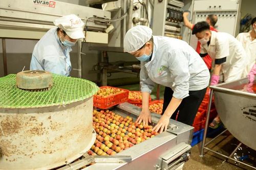 Bắc Ninh cân bằng hệ sinh thái sản xuất từ cụm công nghiệp