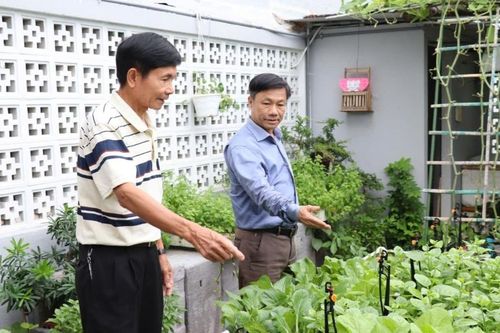 Mô hình nông nghiệp đô thị: Giải pháp xanh cho TP.Hồ Chí Minh