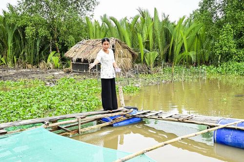 Vĩnh Hòa tập trung phát triển vùng sản xuất trọng điểm