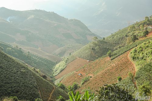 Vườn ươm nhỏ - lợi ích to