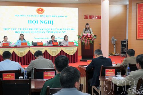 Đại biểu HĐND tỉnh tiếp xúc cử tri xã Núa Ngam