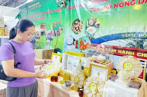 Phát huy lợi thế nghề nuôi chim yến