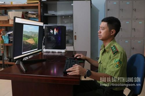 Cấp định danh cho rừng